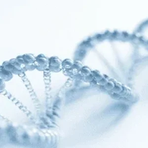 Do Stem Cells Change Your DNA?