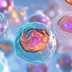 What Are Induced Pluripotent Stem cells