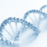 Do Stem Cells Change Your DNA?