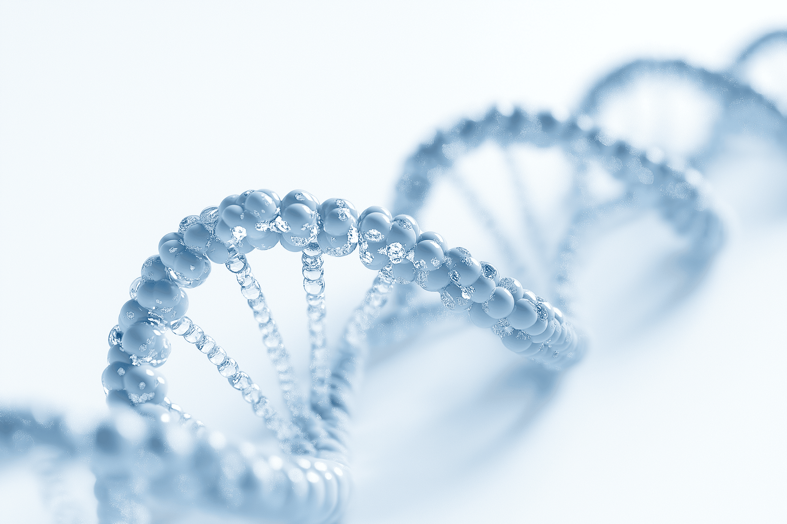 Do Stem Cells Change Your DNA?