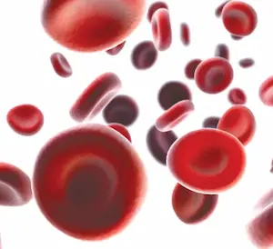 Blood Cells representing a blood disorder