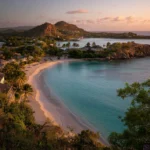 Stem Cell Therapy in Antigua