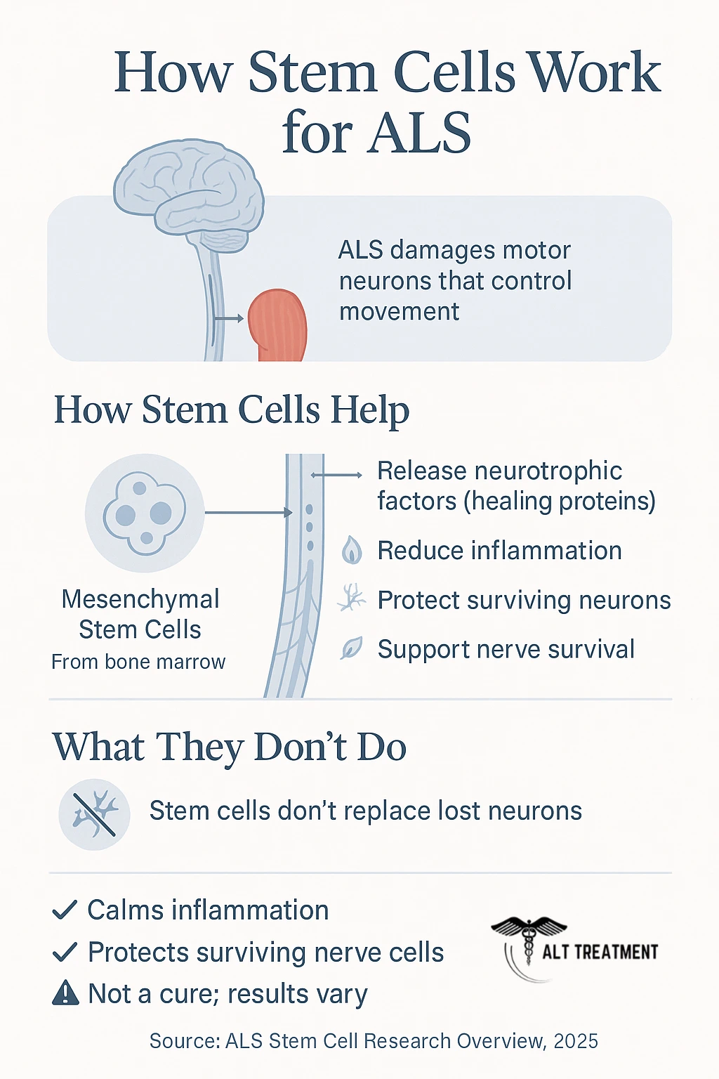 A  infographic showing how Stem Cells help treat ALS.