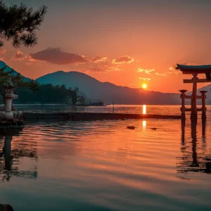 Are NK Killer Cells Legal in Japan in 2025