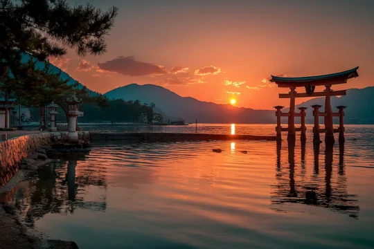 Are NK Killer Cells Legal in Japan in 2025