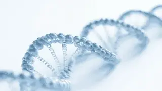 Best Stem Cell Therapy Clinics in the World