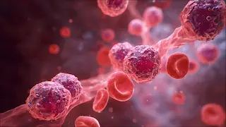 Can Stem Cells Cause Blood Clots